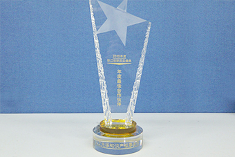 2010年度最佳合作伙伴奖杯