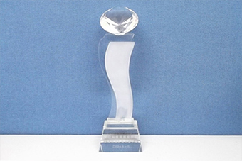 2009 Most Potential Company Trophy