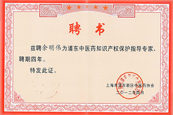 Pudong Chinese Medicine Hospital intellectual property expert letter of appointmen